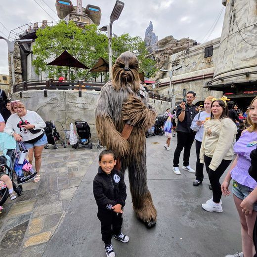 Meeting Chewbacca